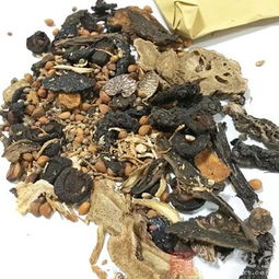 展望“十三五”，全力推進中醫藥振興發展——構建高品質中醫養生保健服務體系